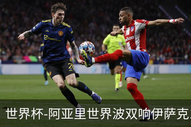 世界杯-阿亚里世界波双响伊萨克1射2传 瑞典5-1突尼斯